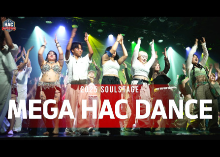 [2025 SOUL STAGE] - MEGA HACDANCE